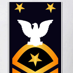 31338182