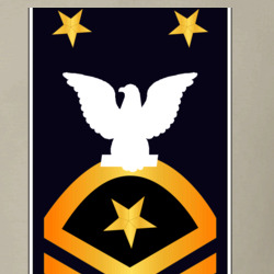31338209