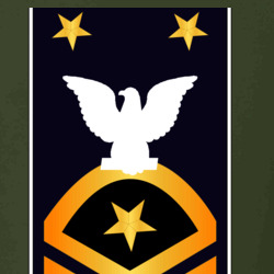 31338210