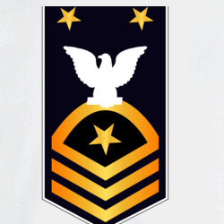 31338234