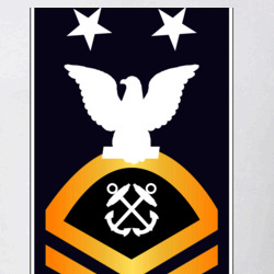 31338304
