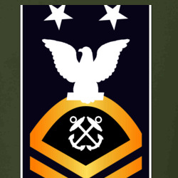 31338307