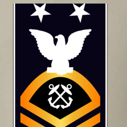 31338310