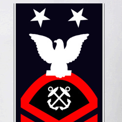 31369309