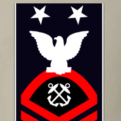 31369312