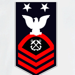 31369314