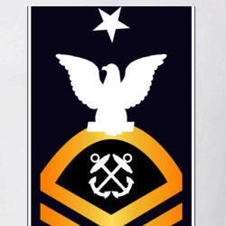31369318
