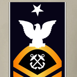 31369321