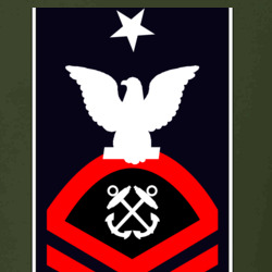31369331