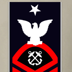 31369332
