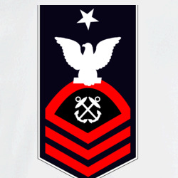31369333