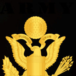 31449967