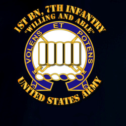 31731549
