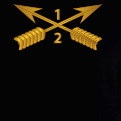 31785732