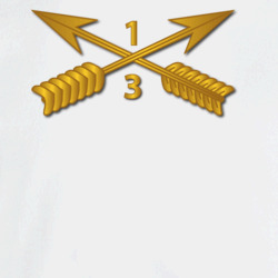 31795937