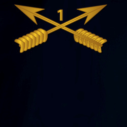 31837855