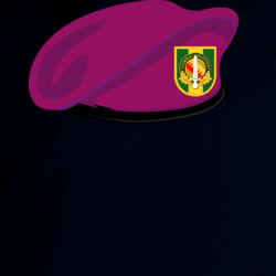33067939