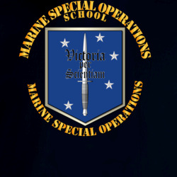 33481262