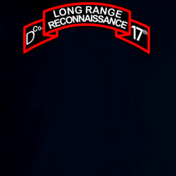 33629437