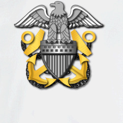 34038784