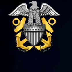 34038785