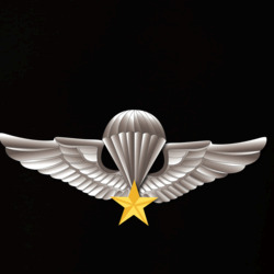 34329385