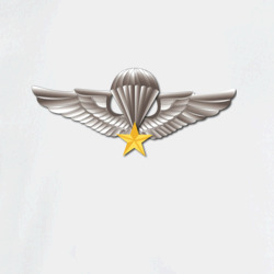 34329410