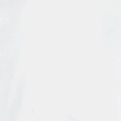 34466736
