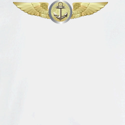 35019533