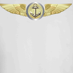 35019541