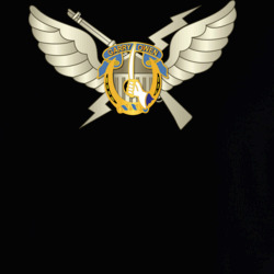 35058524