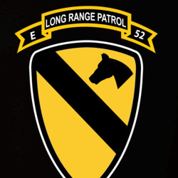 35064977