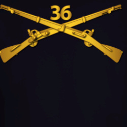 35072377