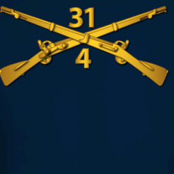35077655