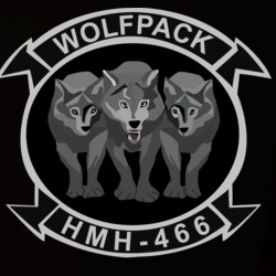 35091525