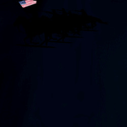 35151569