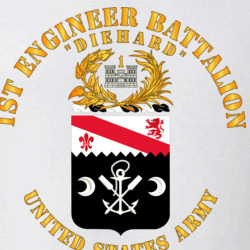 35496381