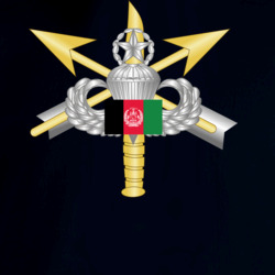 35583571
