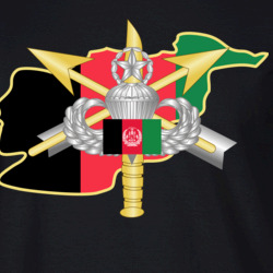 35583616