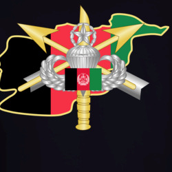 35583620