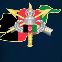 35583621