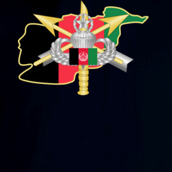 35583626