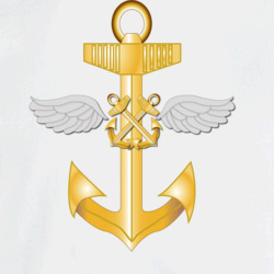 35981038