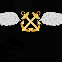 35990107