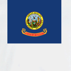 36063981