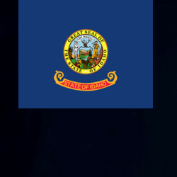 36063986