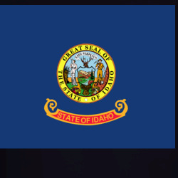 36063990