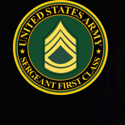 36117813