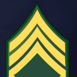 36117916
