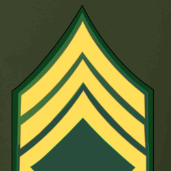 36117919